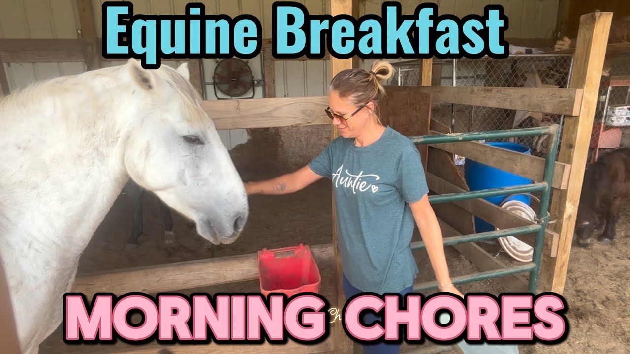 A small portion of our morning routine is feeding ALL the Equines at Hartland Oaks.