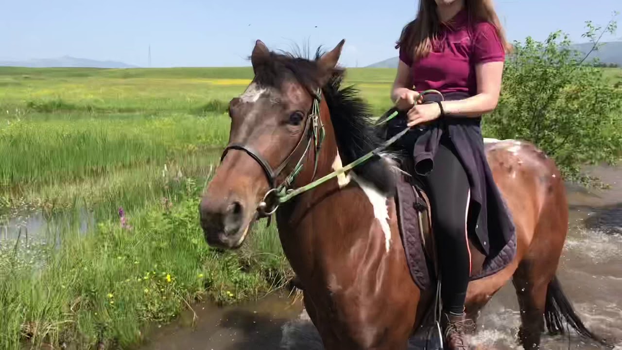 Kupres farm riding