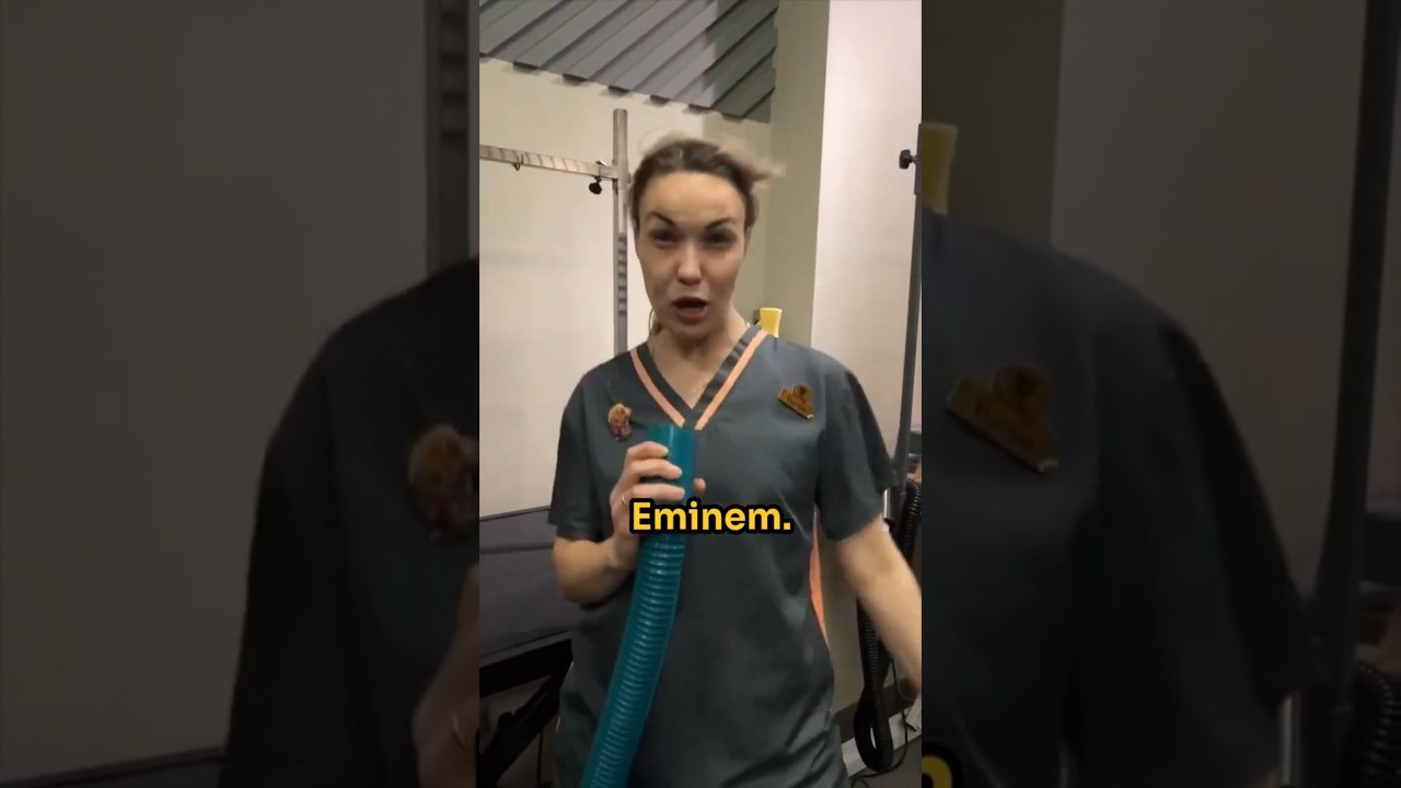 Dog Grooves to Eminem! 🎤🐶🔥 #shorts #funny #dog #music #eminem #viral #trend #mustsee #hilarious