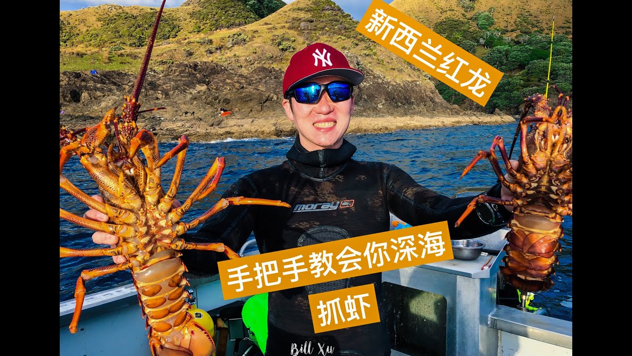 冒险之旅（三）：New Zealand Crayfish Hunting 新西兰龙虾： 手把手教会你深海抓龙虾