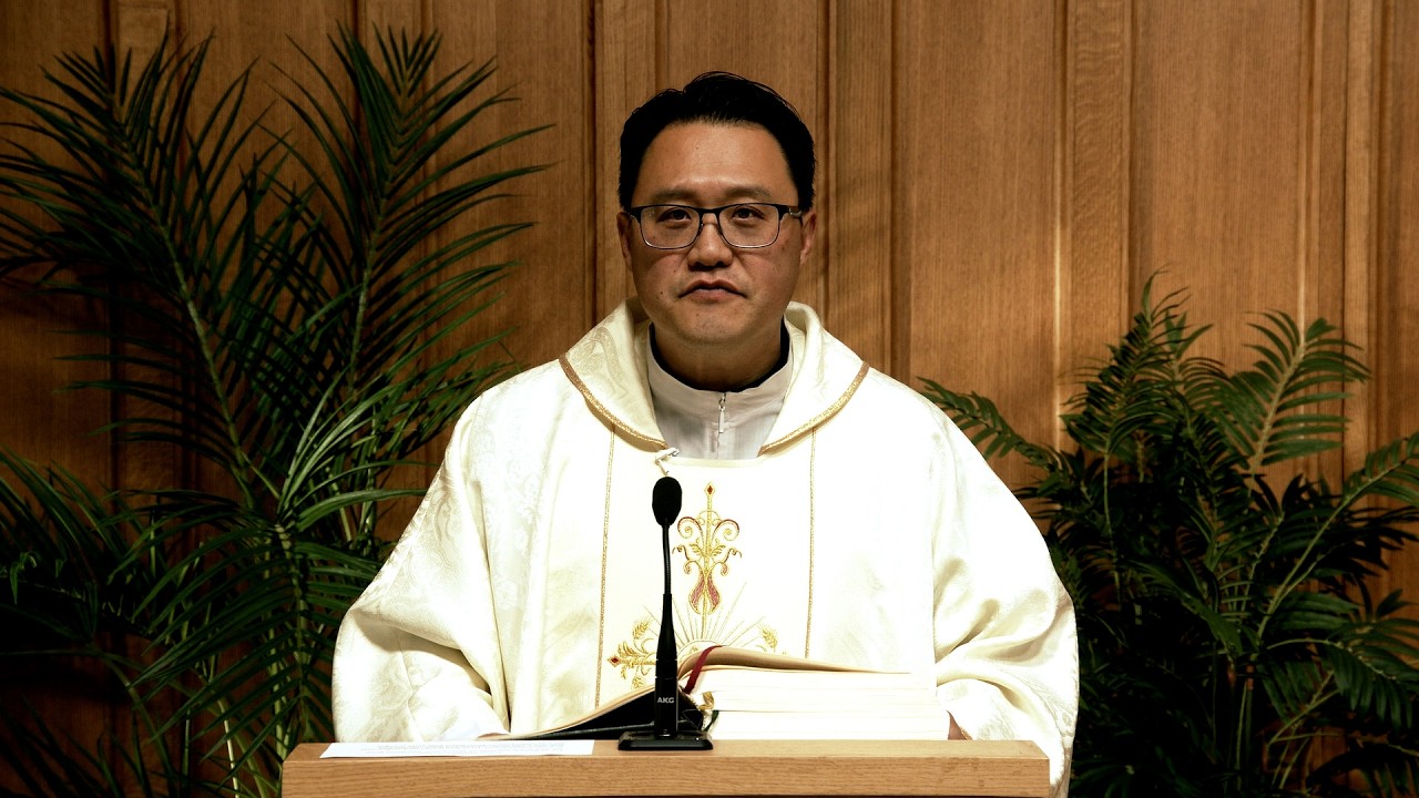 Catholic Mass Today | Daily TV Mass, Wednesday July 29, 2026