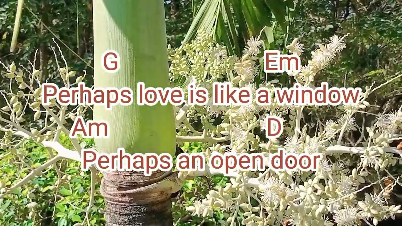 Perhaps Love - John Denver (Ukulele Play Along) | V Kalele