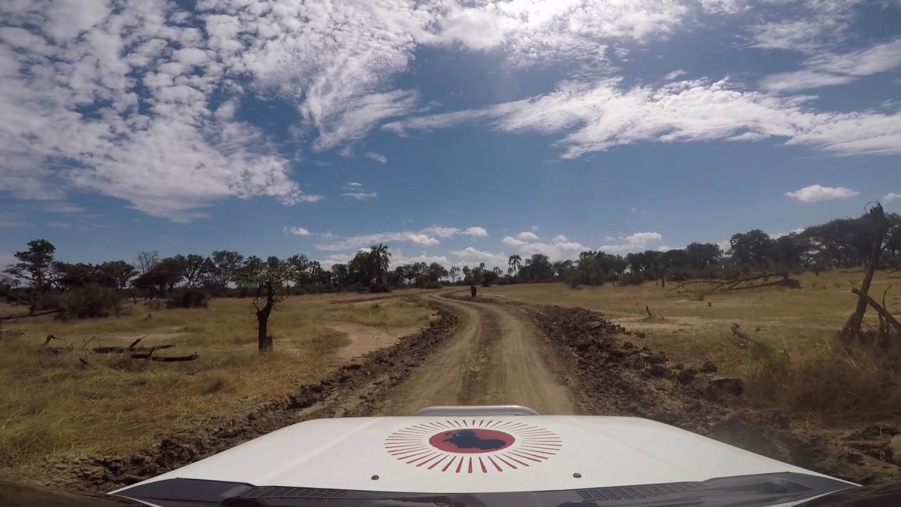 Driving in Liwonde National Park, Malawi!