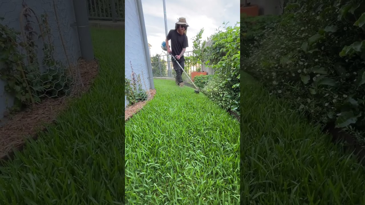 The Art of a Manicured Lawn: Mastering Lawn Detailing