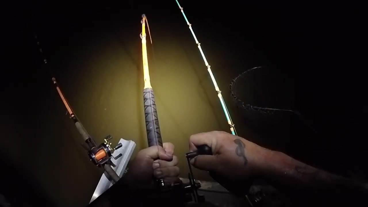 Spring Catfishing!