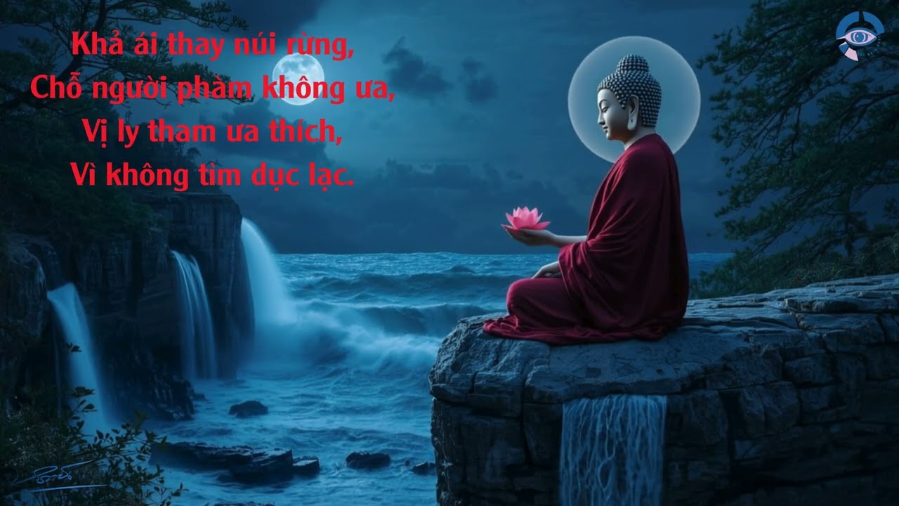 Núi rừng không cứu được mình, nếu tâm còn nghiện ồn ào