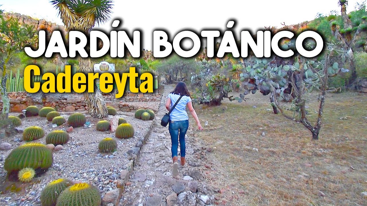 10 hectáreas de FLORA REGIONAL SILVESTRE. / JARDÍN BOTÁNICO en Cadereyta De Montes