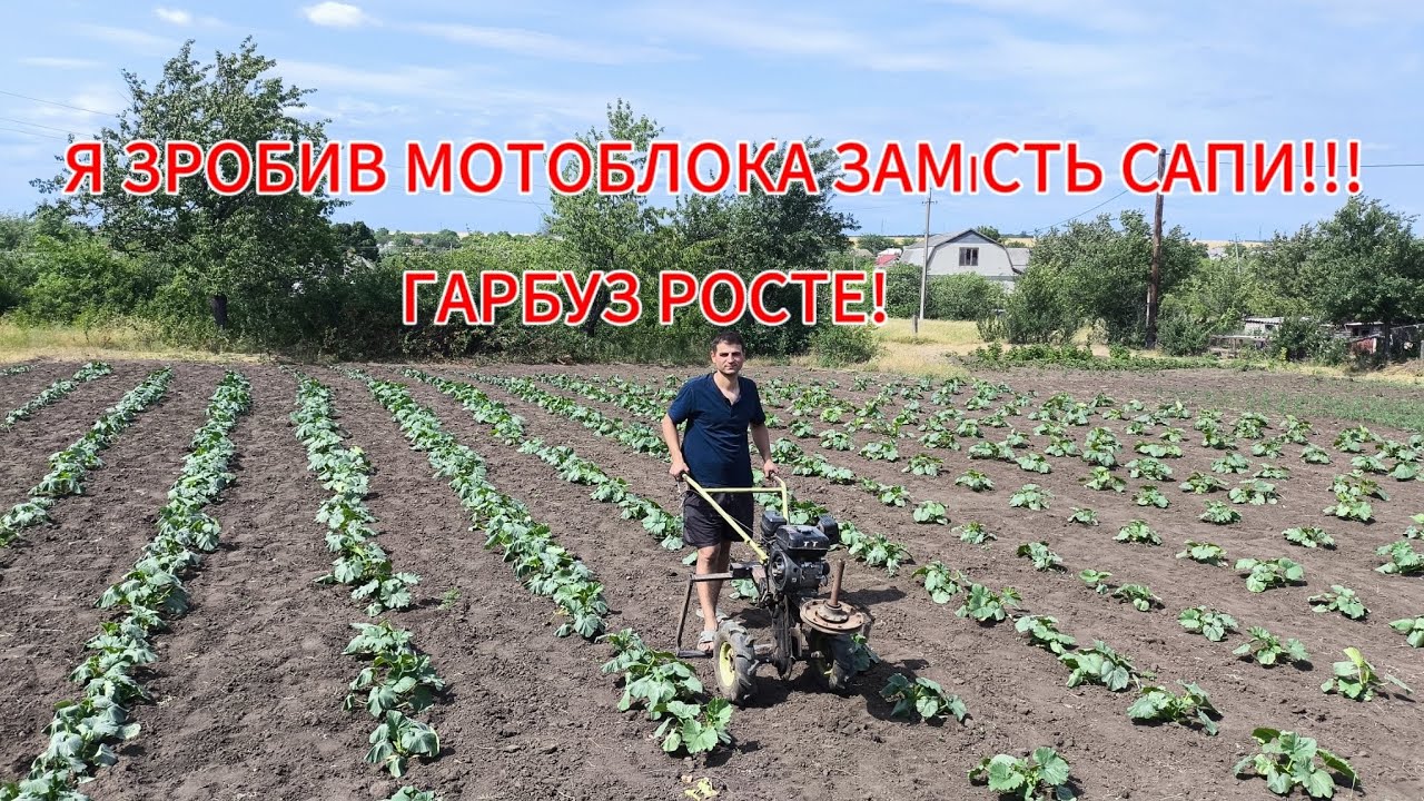 САМОРОБНИЙ МОТОБЛОК ЗАМІСТЬ САПИ🚜 ГАРБУЗ РОСТЕ!!!