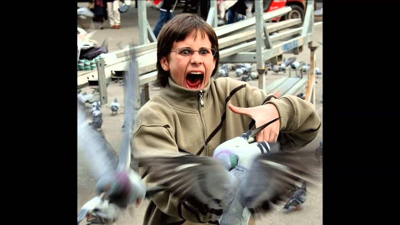 Roberts Gobziņš - Bīstams Dzīvnieks