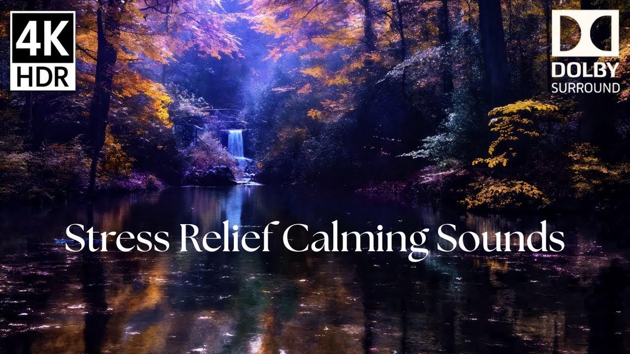 Relaxing Music & ASMR Nature Sounds: 4H Autumn Forest Video for Sleep, Anxiety & Stress Relief