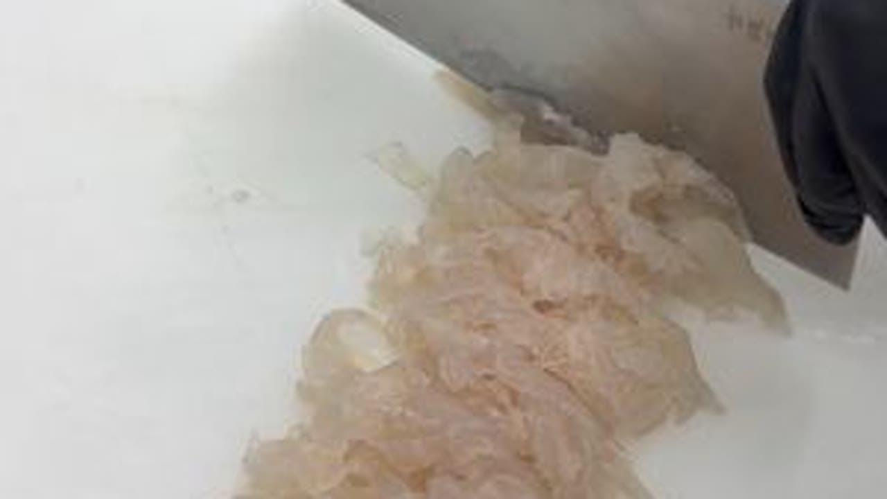 #鱼生 #顺德鱼生 #广西鱼生真实口感测评