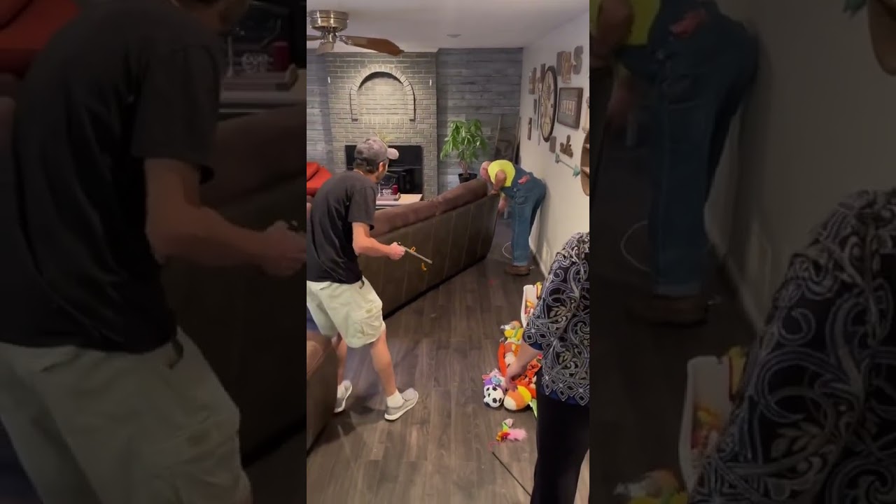 That one time there was a snake under the couch #funny #lol #subscribe #trendingtiktok #funnyvideo