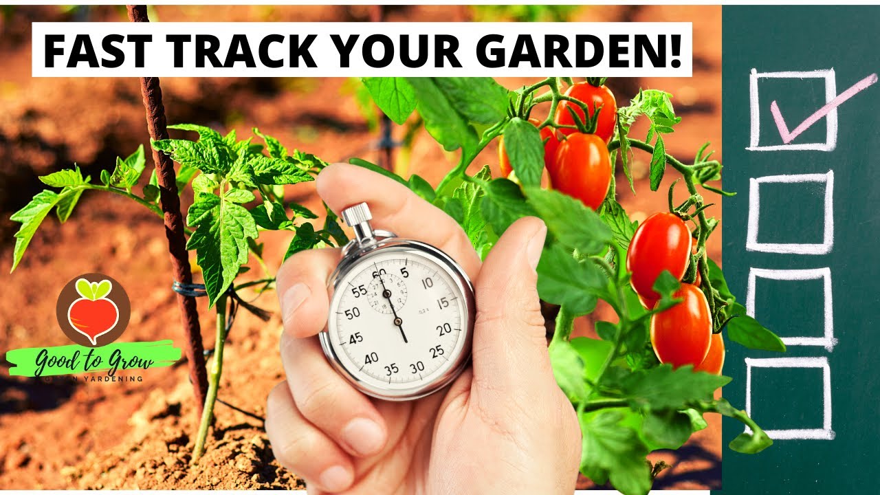 Use This Strategy to Feed Your Family Faster! | Seed Haul 2021 | Guten Yardening Garden Planning