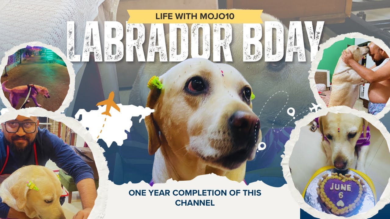 Our YouTube Turns 1 & Tokash Turns 6 Older | Emotional Vlog 