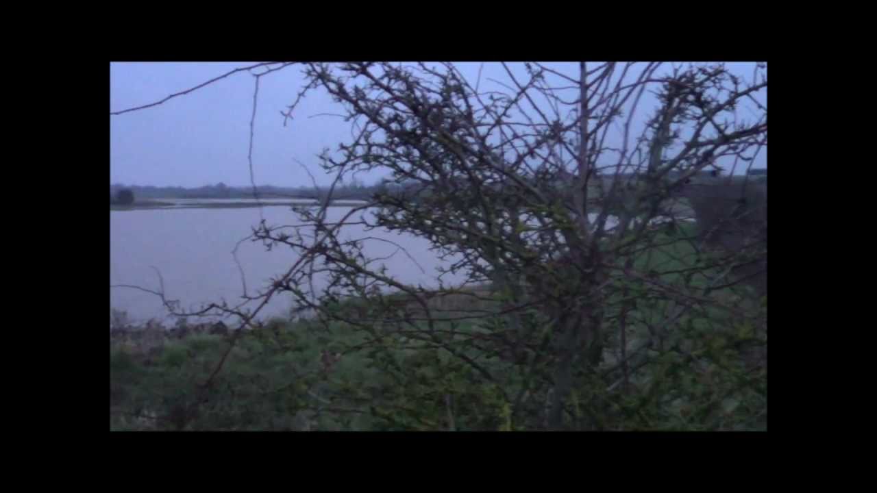 River Cuckmere in Flood