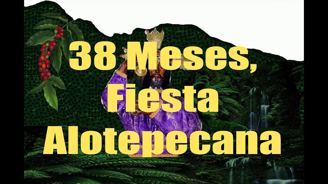 Fiesta Alotepecana.
