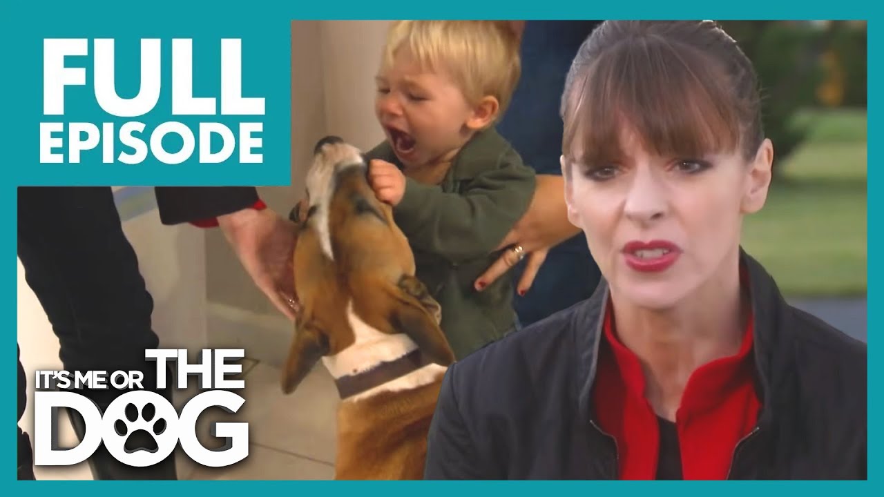 Dakotas Territory | Season 3 Episode 10 | It's Me Or The Dog US