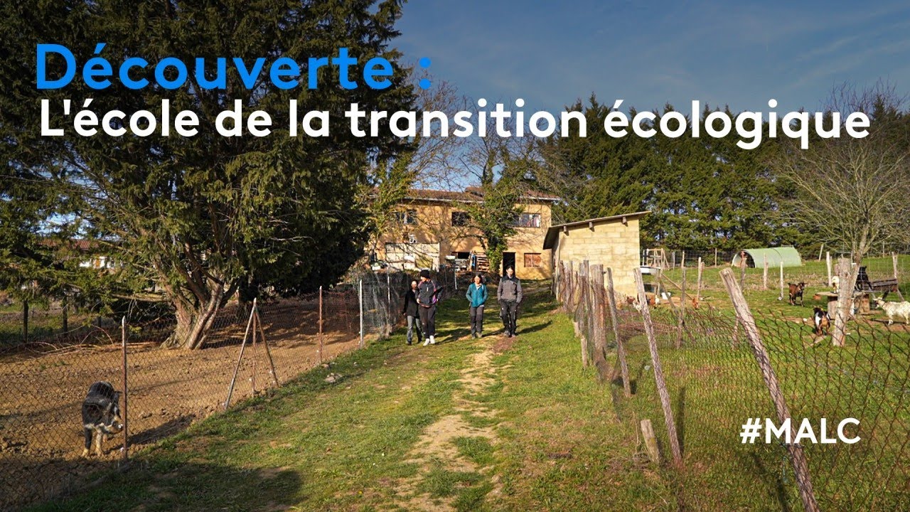 Découverte : l'école de la transition écologique