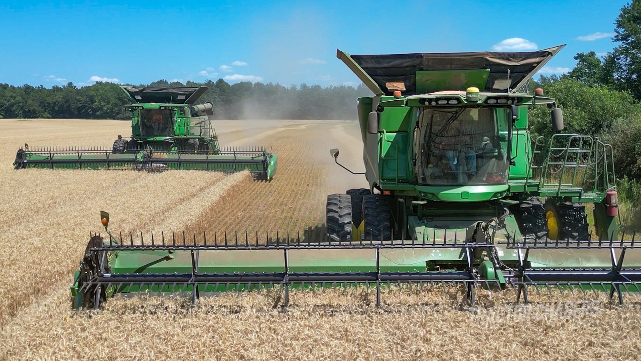Wheat Harvest + 2,700 Straw Bales! Summer Harvesting Action on Farm