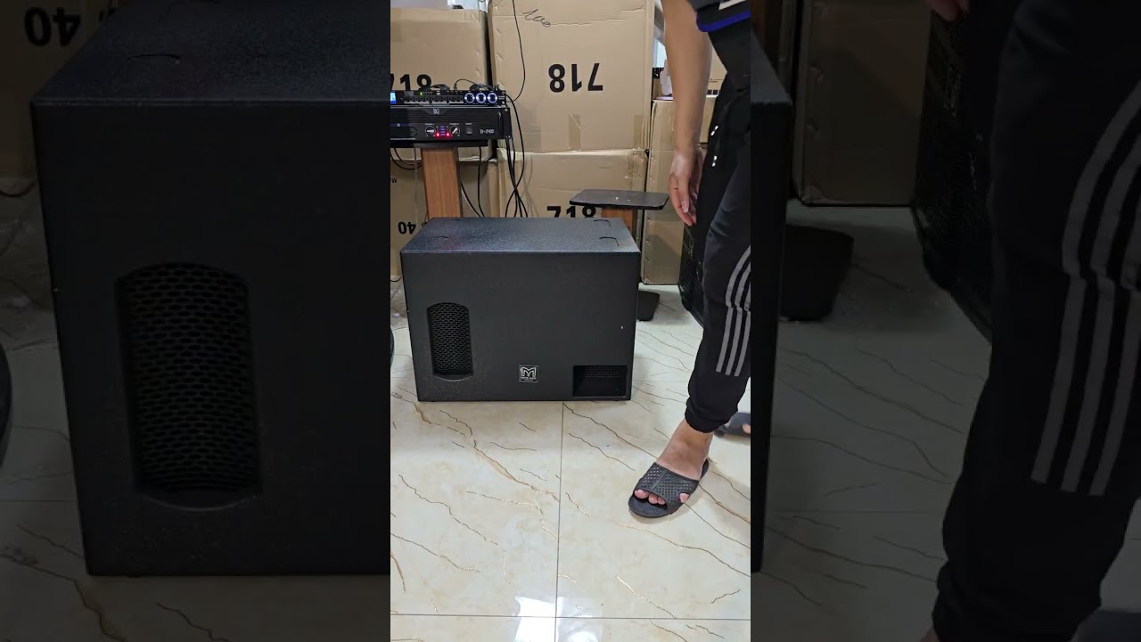 Loa Sub Điện Bass 30 Martin 350W Test cho a Bảo To&agrave;n, B&igrave;nh Dương