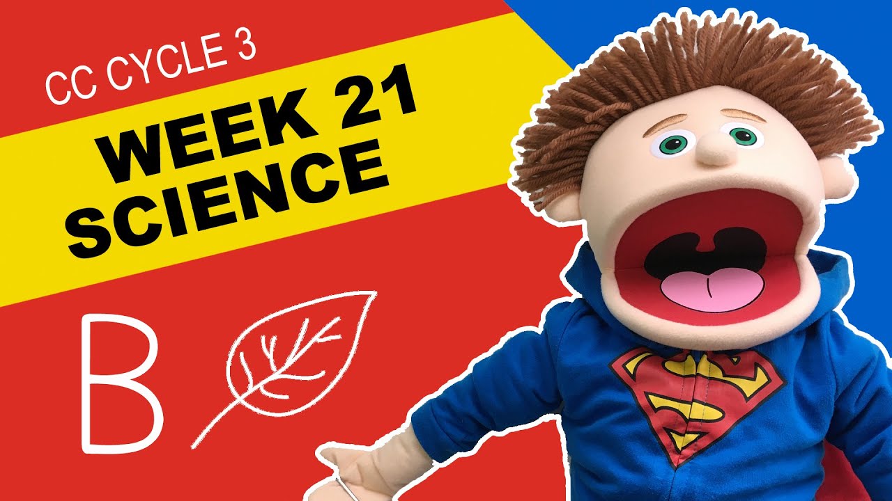 CC Cycle 3 Week 21 Science - What does the theory of evolution rely on?