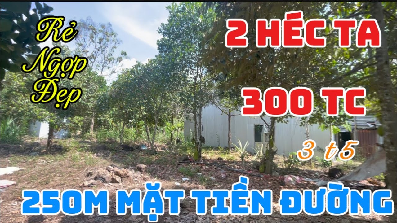 Cần bán 20.000m2 có nhà 🏠 vườn trái cây có 300m thổ cư bám 250m mặt đường lớn tại đồng Nai 
