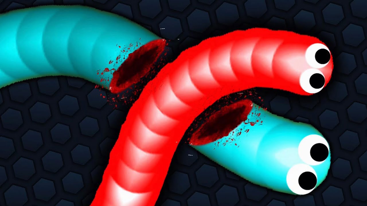 Compilation of funny and hilarious hell snake videos 