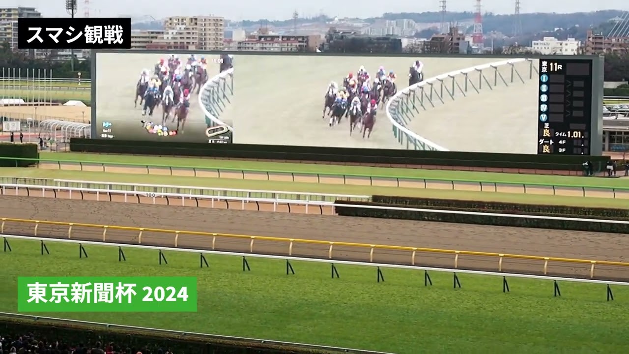 2024年 東京新聞杯 | サクラトゥジュール | ウインカーネリアン | 現地レース映像 | 東京競馬場 | スマシ観戦