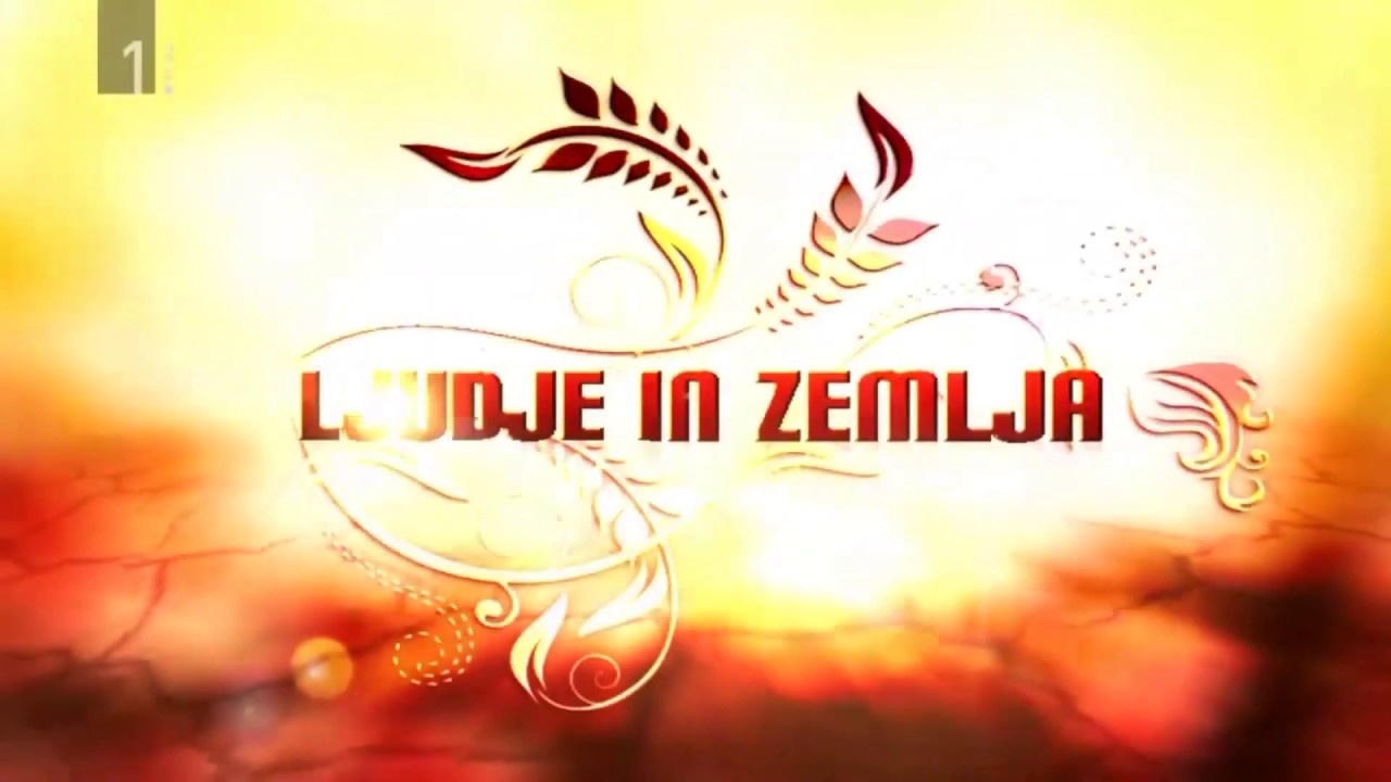 Drobilec lesa R8 in bio oglje