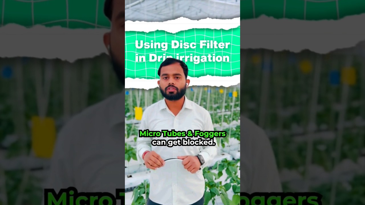 Using Disc Filter in Drip Irrigation #hydroponics #agriculturist #dripirrigation