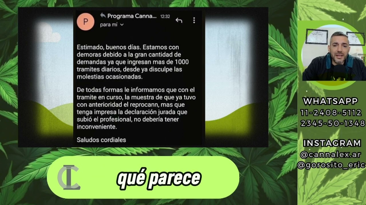 Doctor Cannabis 🌱 - Reprocann Pendiente de evaluaci&oacute;n - Ley 27.350 - Salud - Cannabis Medicinal
