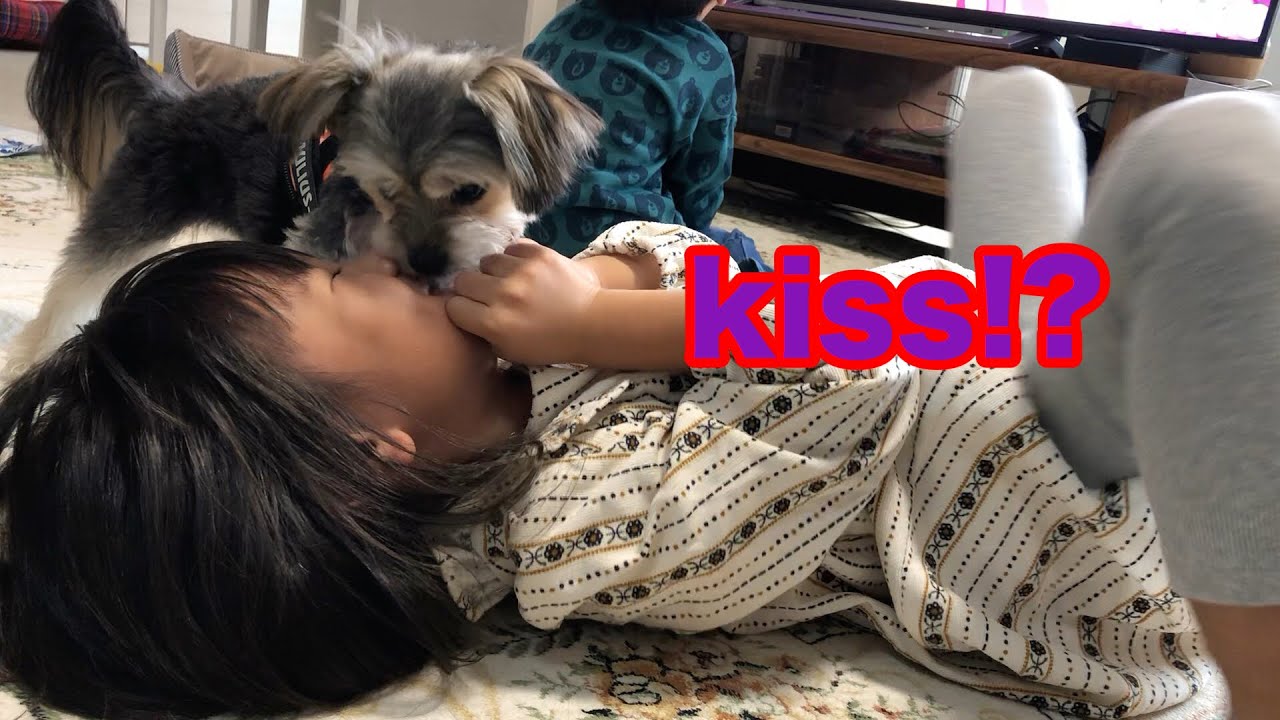 ベロベロはかせ