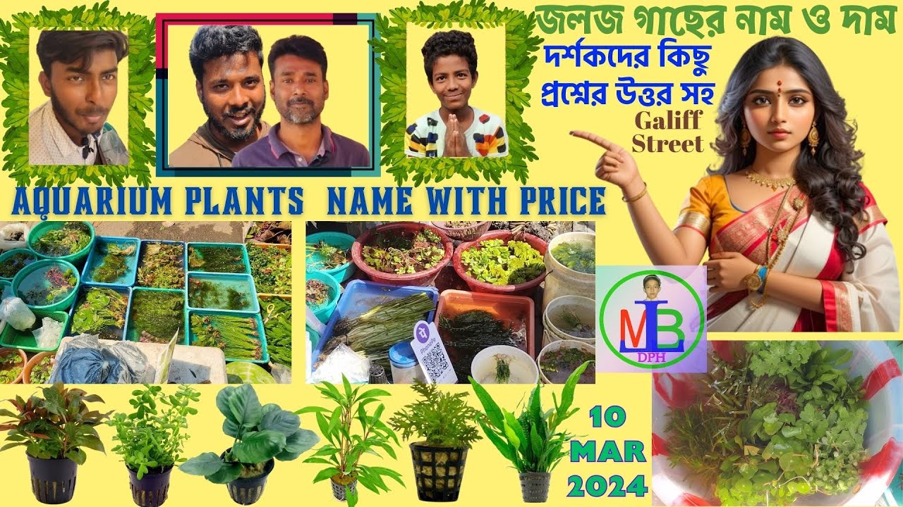RECENT AQUARIUM PLANTS' NAME & PRICE UPDATE | GALIFF STREET, KOLKATA | 3 SELLERS | 10 MAR 2024