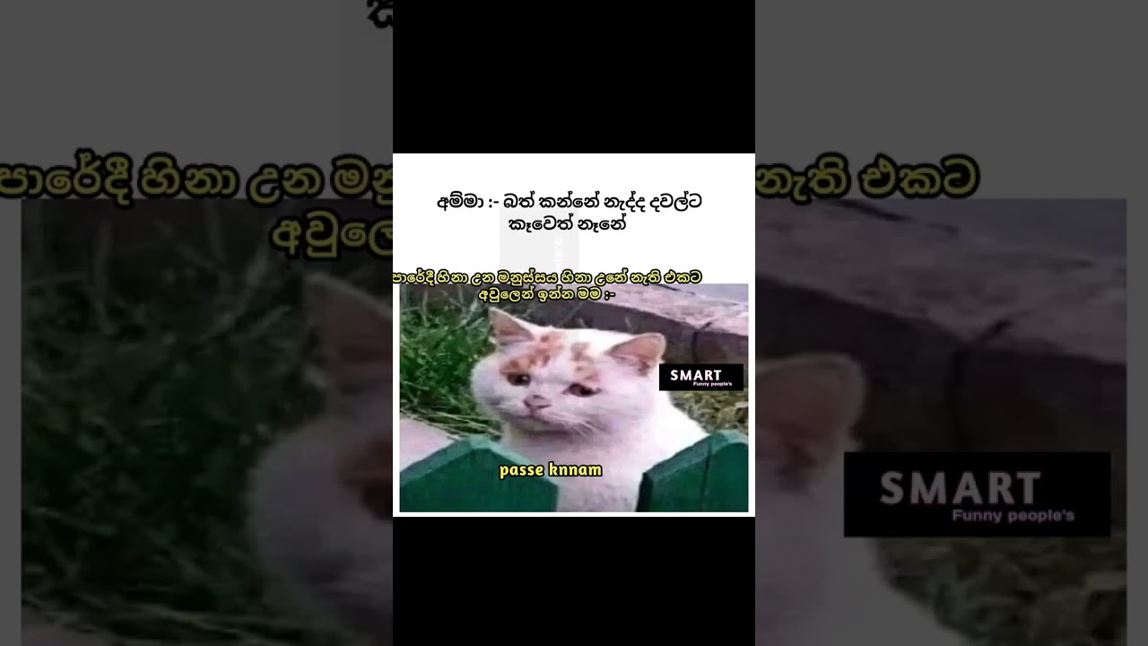 sinhala funny memes 🤣💔 #sinhalafunny #memes #srilanka