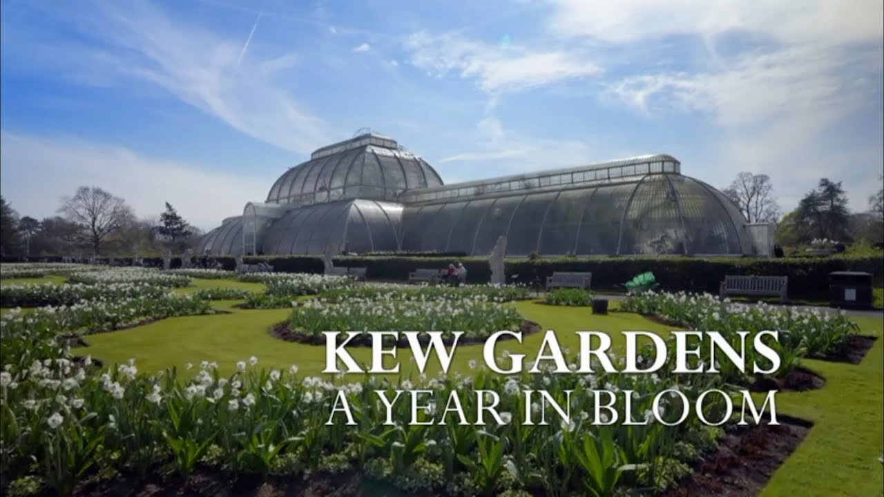 Kew Gardens : A Year In Bloom S02E02 - The Spanish Bluebell