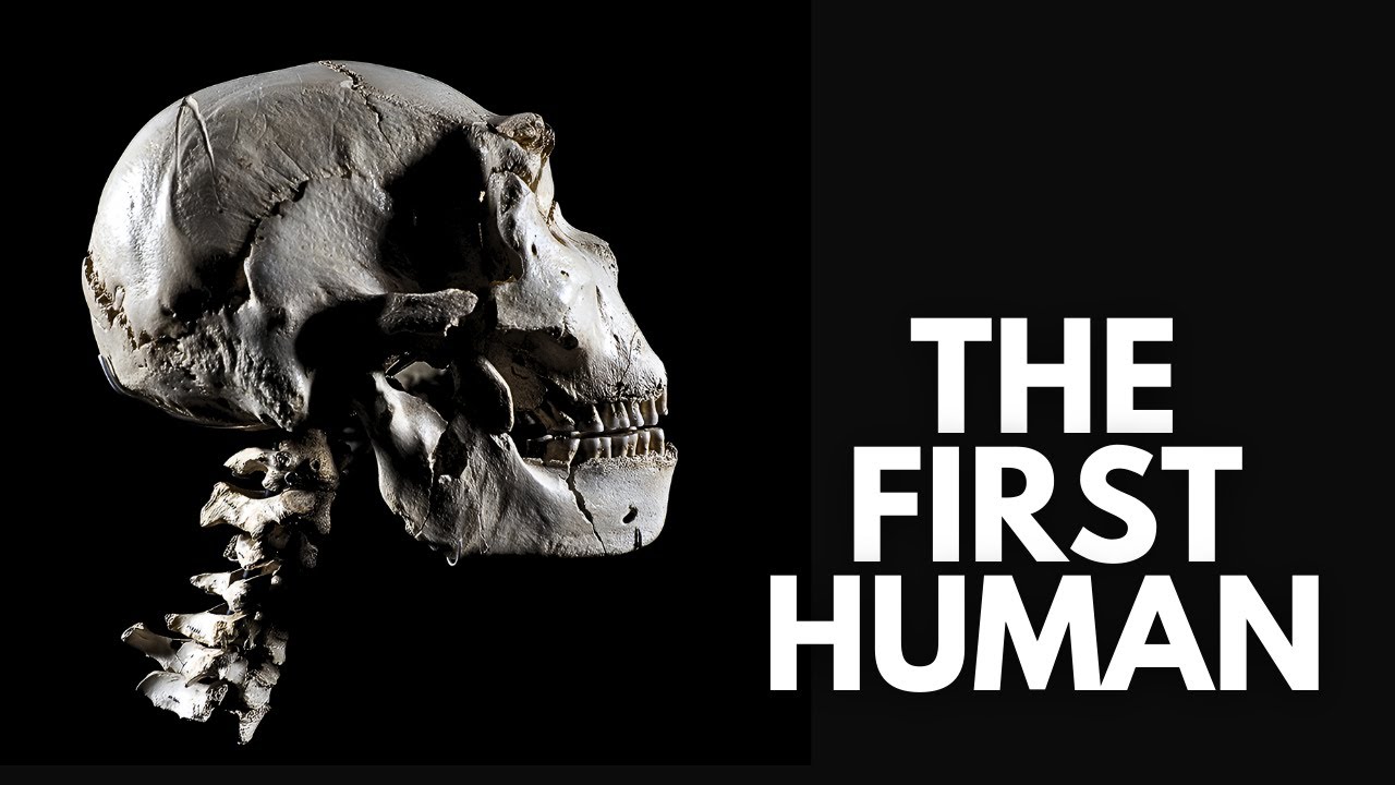Homo Ergaster Is The KEY To Understanding Human EVOLUTION
