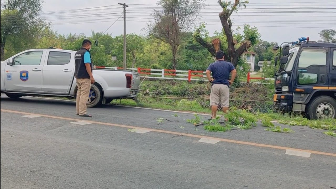 ต้นไม้ล้มขวางถนนสิบล้อดันไปติดหล่ม ใช้รถกระบะลากสิครับ