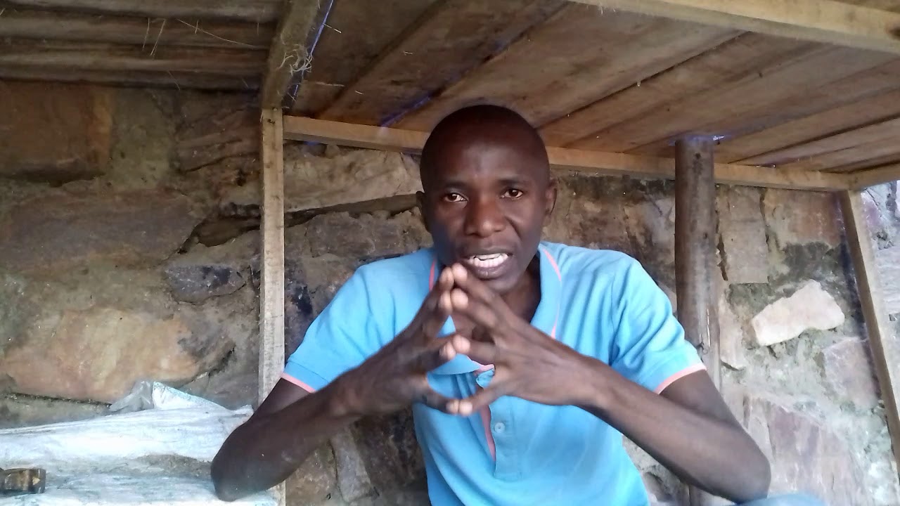 UBWOROZI BW'INKOKO: Vyose ku nzu y'inkoko