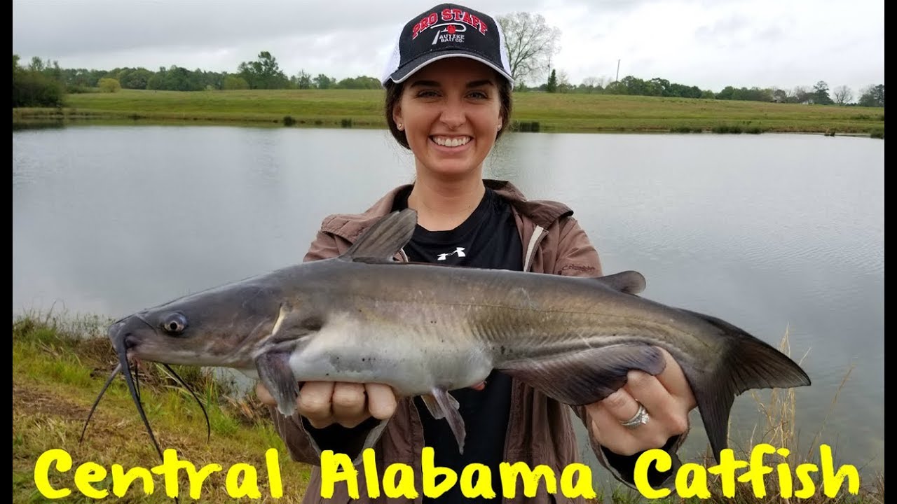 Central Alabama Catfish Fishing