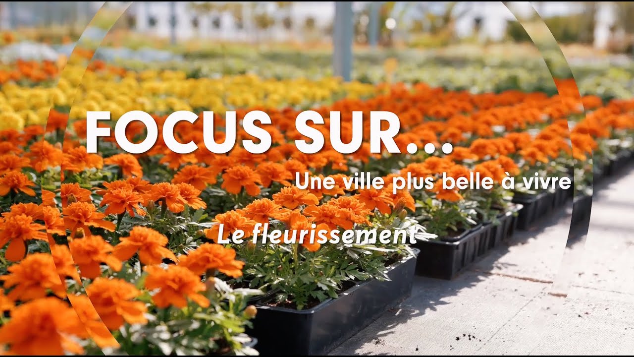 Focus Sur ...le fleurissement de la ville de Montlu&ccedil;on