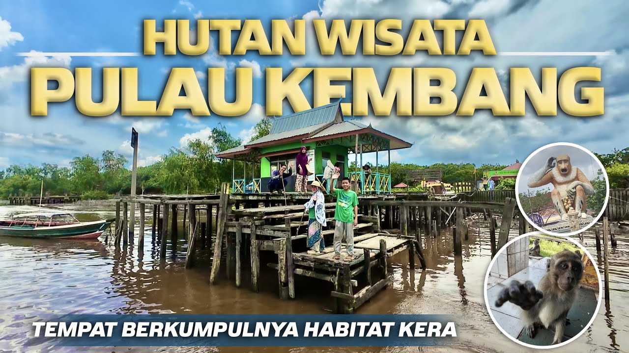 Hutan Wisata Pulau Kembang Banjarmasin, Pulau Kecil Tempat Berkumpulnya Habitat Kera Monyet