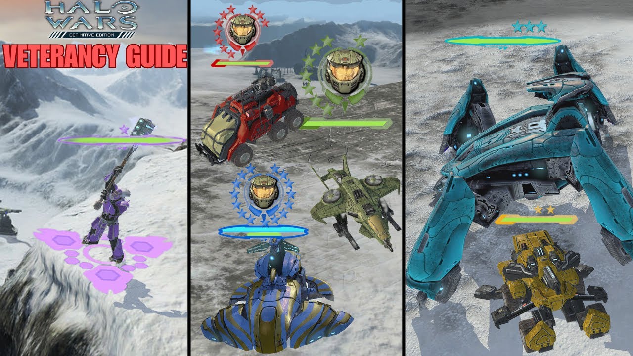 Понимание ветеранства | Halo Wars