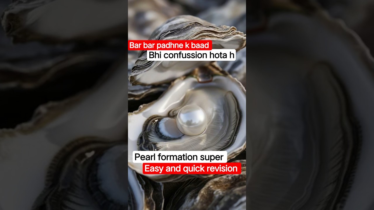 Pearl formation in oyster | Mollusca zoology short 