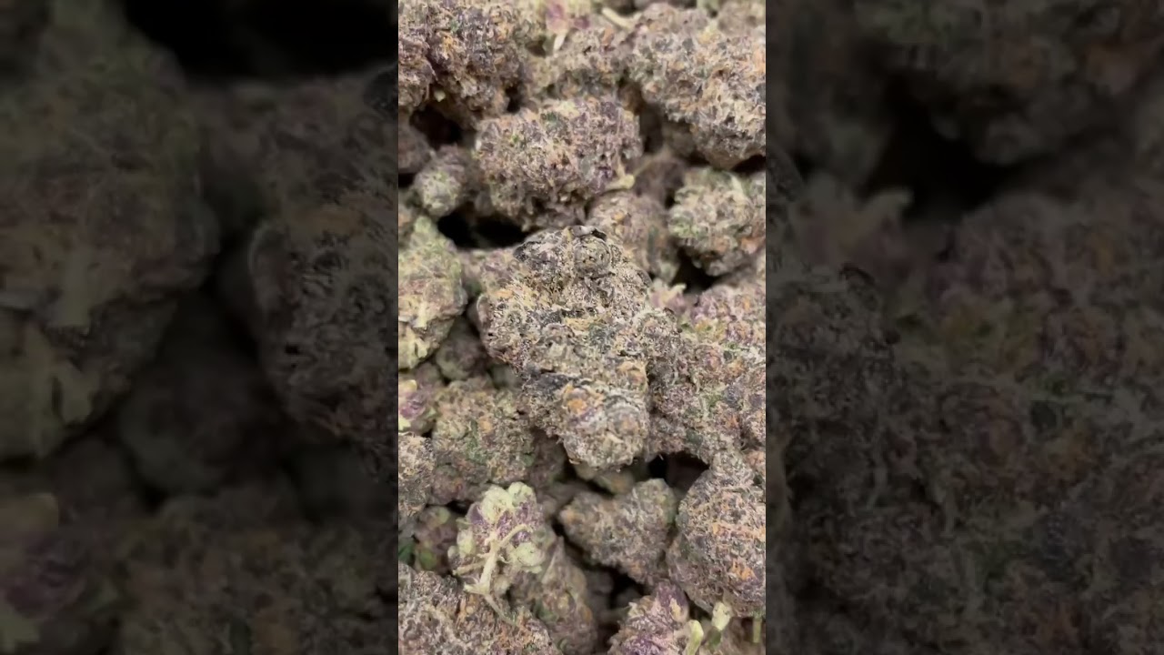 Top shelf purple Nepal strain