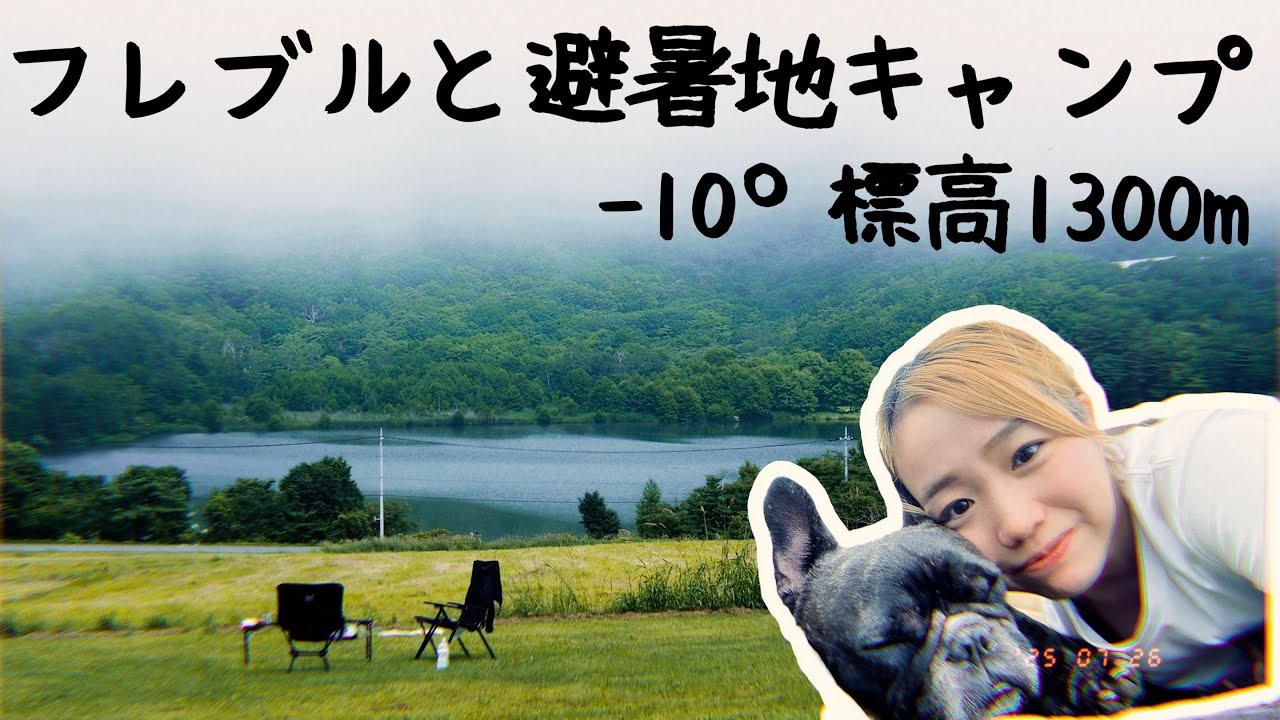 マイリー(フレンチブルドッグ)と避暑地キャンプへ🏕️笑えない程の珍道中をどうにかしてください…