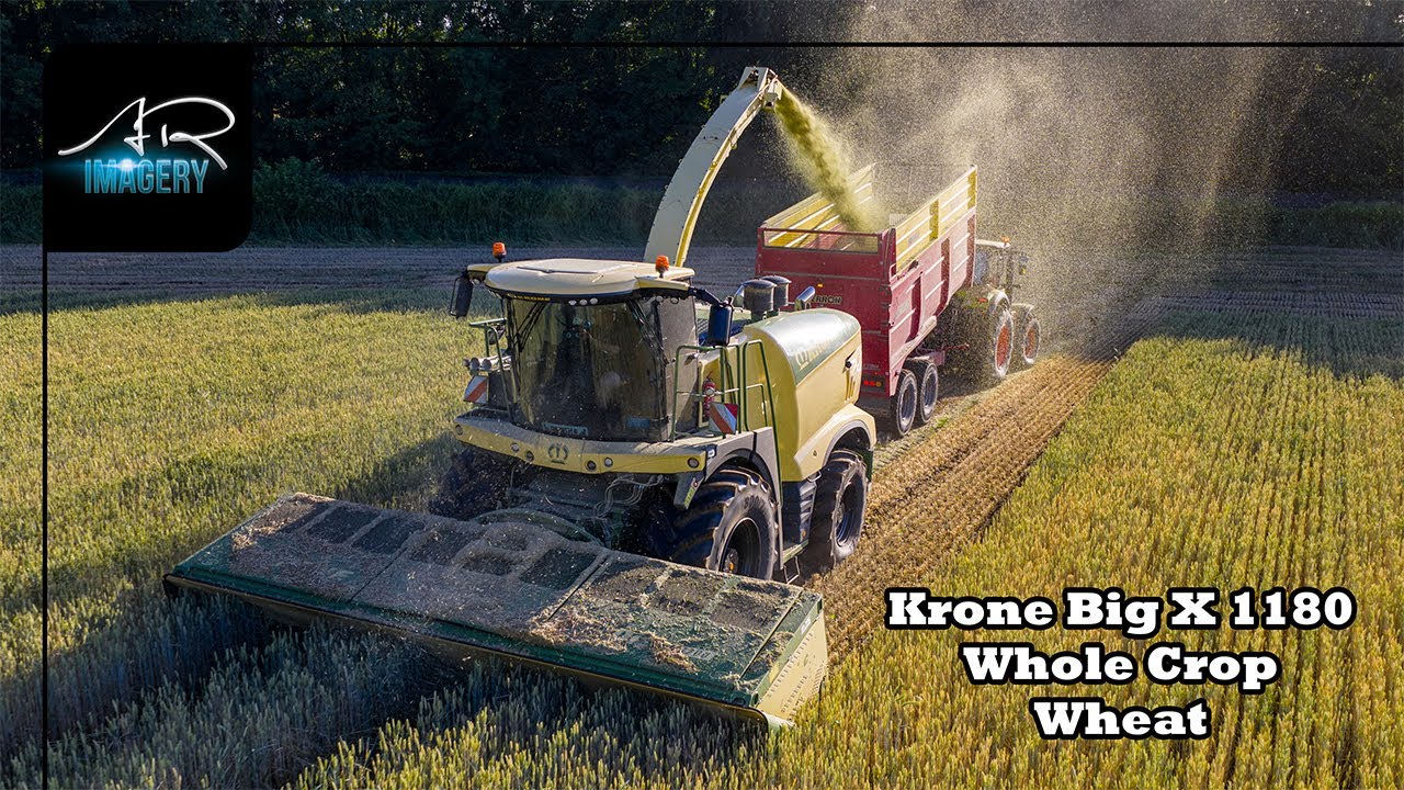 KRONE Big X 1180 | 5mm chop Whole Crop Wheat | 1156hp Chopping