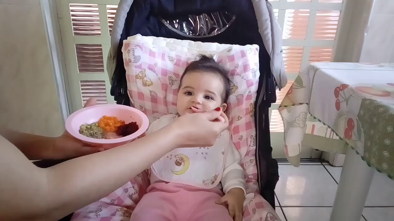 INTRODUÇAO ALIMENTAR PARA BEBÊ DE 6 MESES