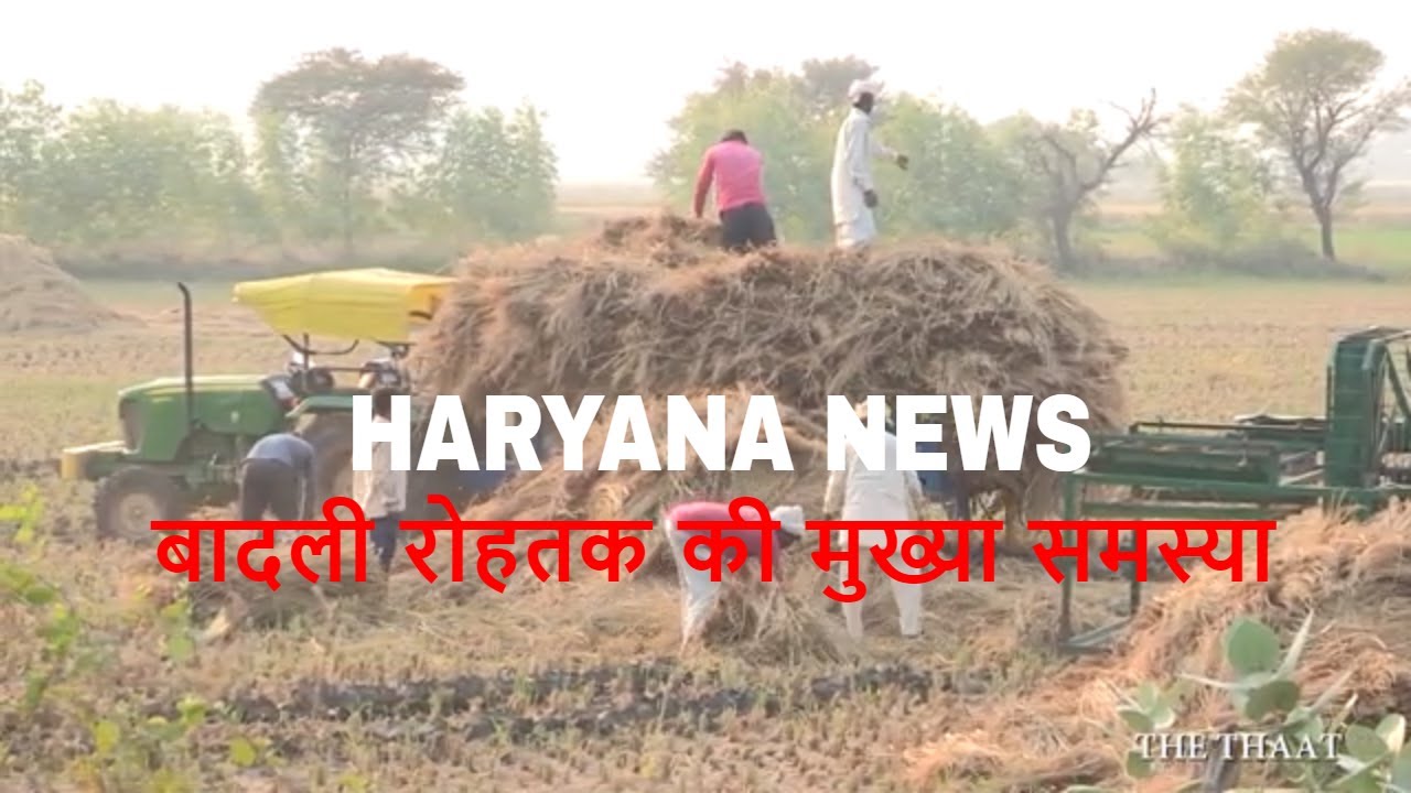 Badli Rohtak| बादली रोहतक की मुख्या समस्या | Video Report| the thaat