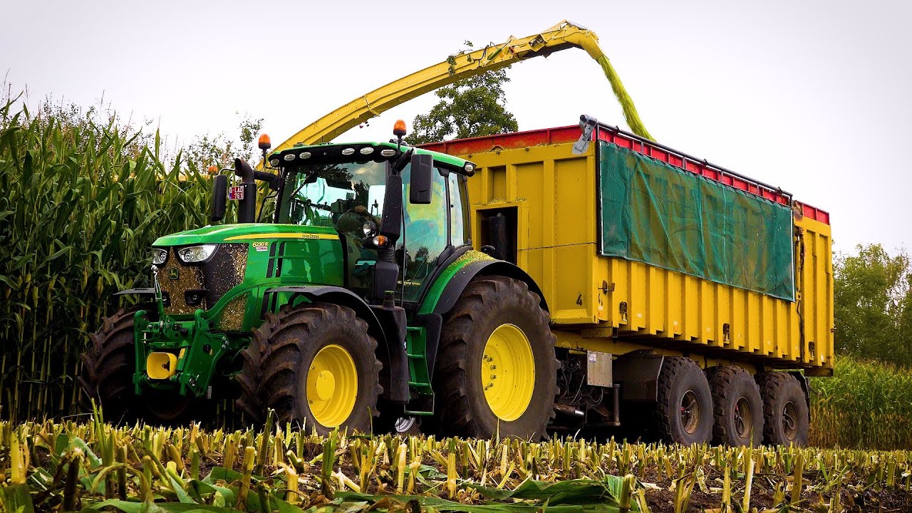 Mais 2020: Krone BIG X 780 / 12 rows / Partoens / John Deere 6230R / Maisernte / Mais Häckseln 2020