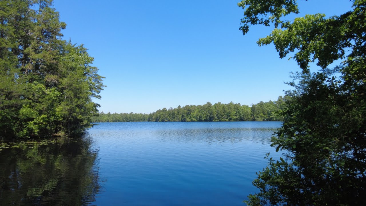 Hike in the New Jersey Pine Barrens